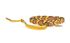 Loewe Braided Bag Strap, front view
